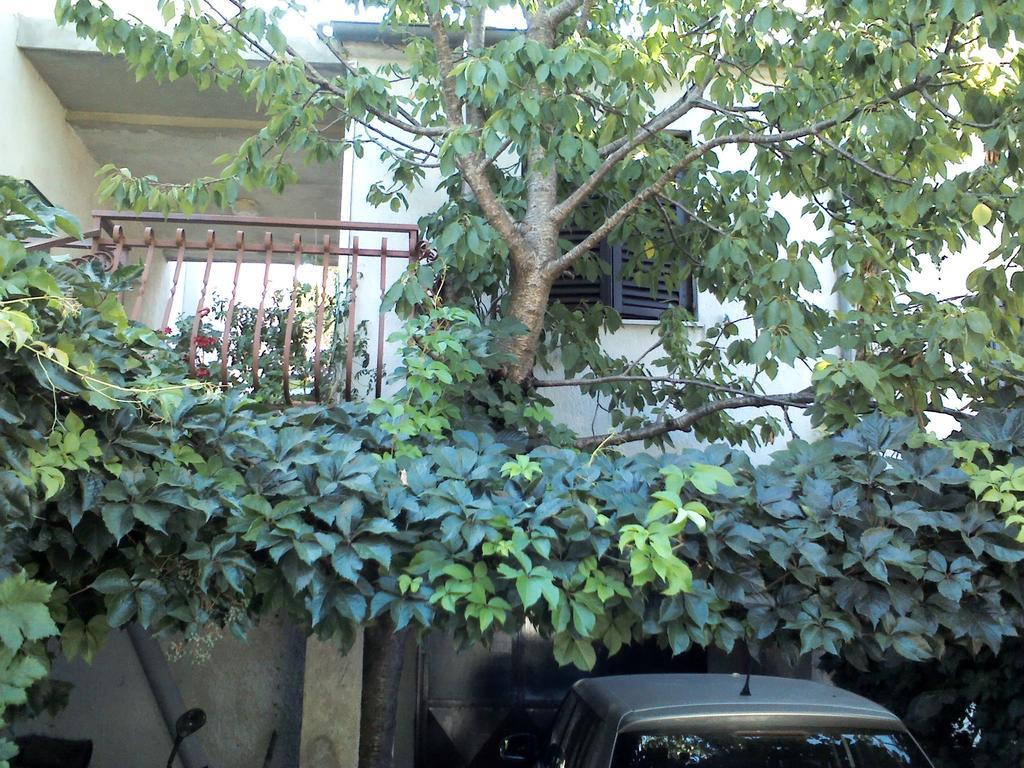 Apartment Artusi بولا الغرفة الصورة