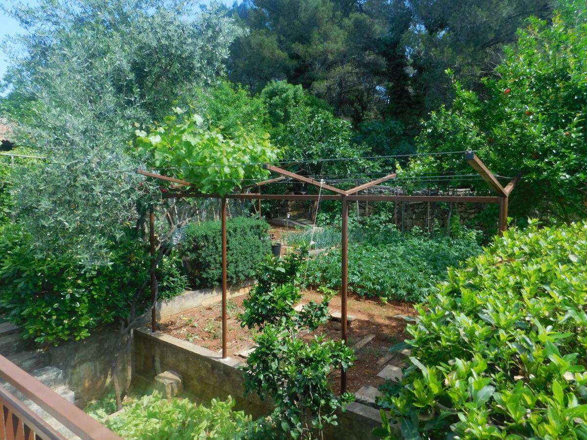 Apartment Artusi بولا المظهر الخارجي الصورة