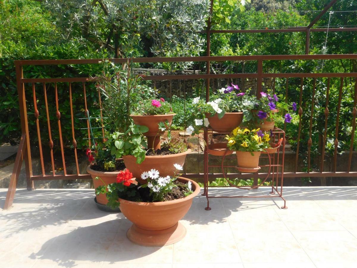 Apartment Artusi بولا المظهر الخارجي الصورة