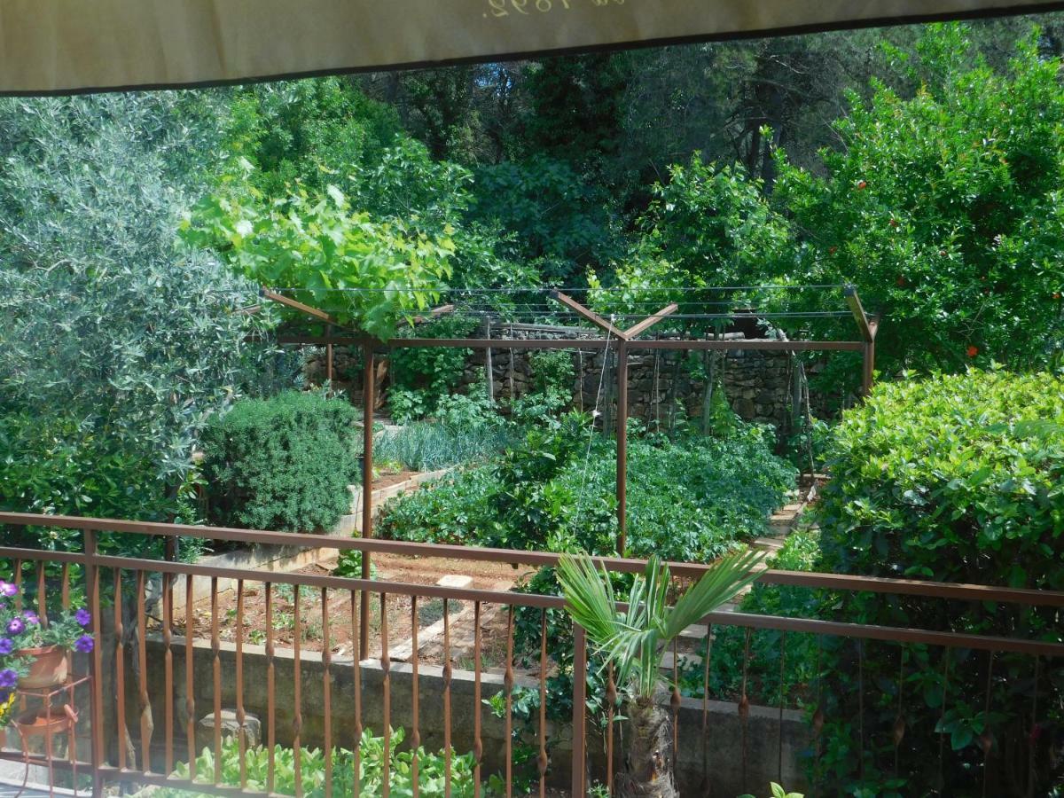 Apartment Artusi بولا المظهر الخارجي الصورة